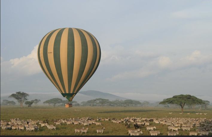 Animals_view_on_baloon