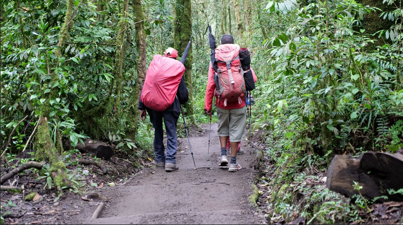 Porters_carrying_luggage